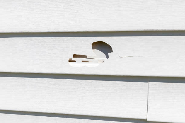 Shed Removal in Combined Locks, WI